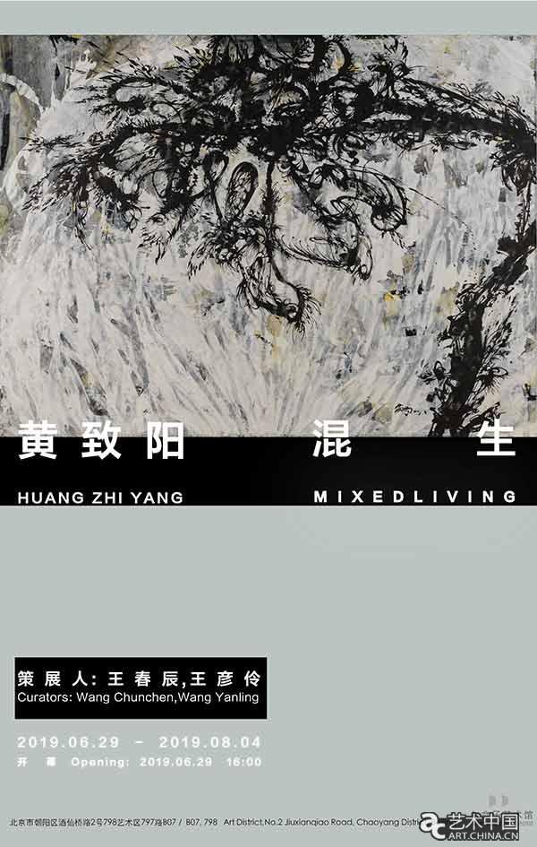 “黄致阳：混生”个展即将亮相白盒子艺术馆