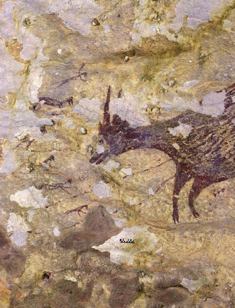 原创            印尼洞穴发现最古老史前狩猎壁画，距今已有4万4000年！