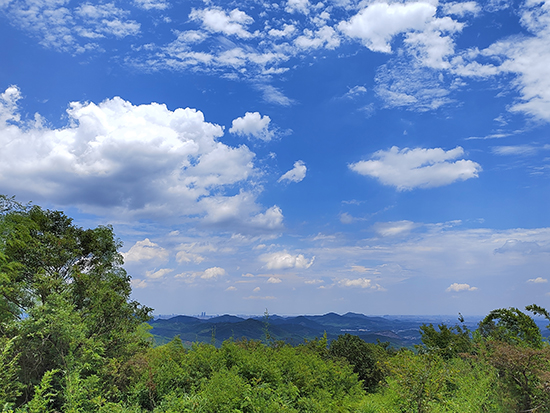 七月炎夏，徐戎于葛仙观现场书写供“三宝”